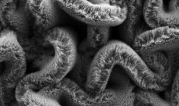 行业新闻：可拉伸的超等电容器，，，为柔性可衣着装备铺路